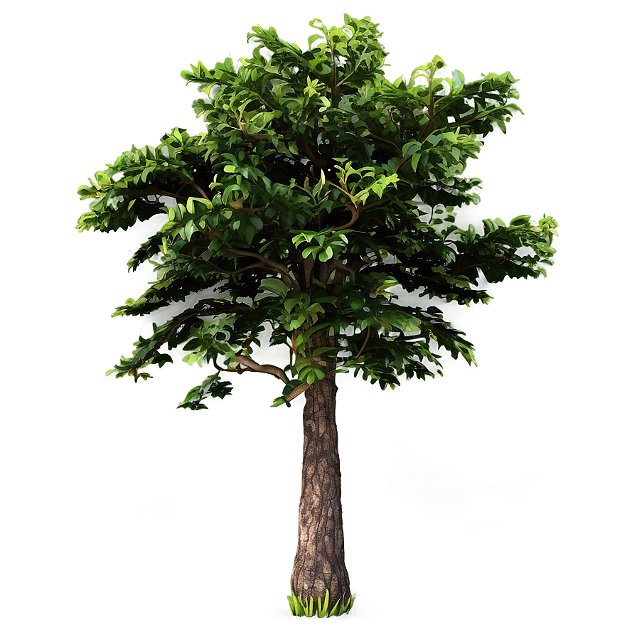 Vintage Tree Elevation Png 98 PNG Image