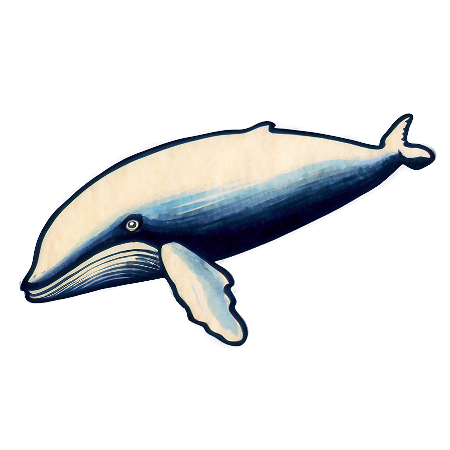 Vintage Whale Drawing Png Xki PNG Image