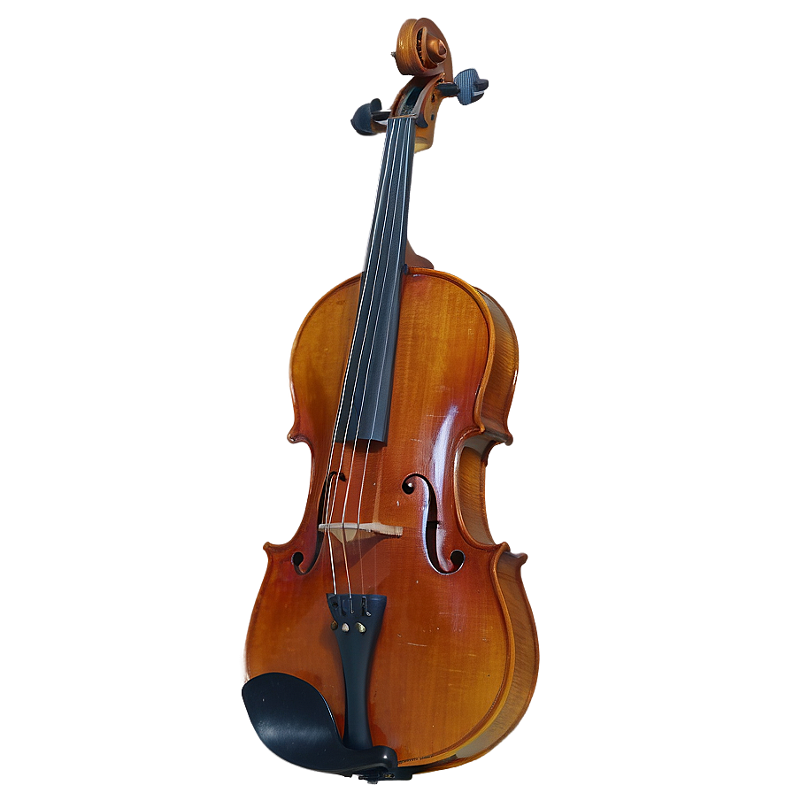 Viola B PNG Image