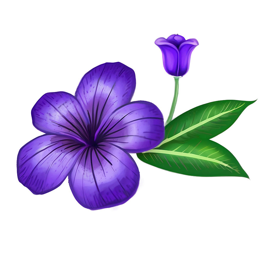 Violet Flower Drawing Png 94 PNG Image