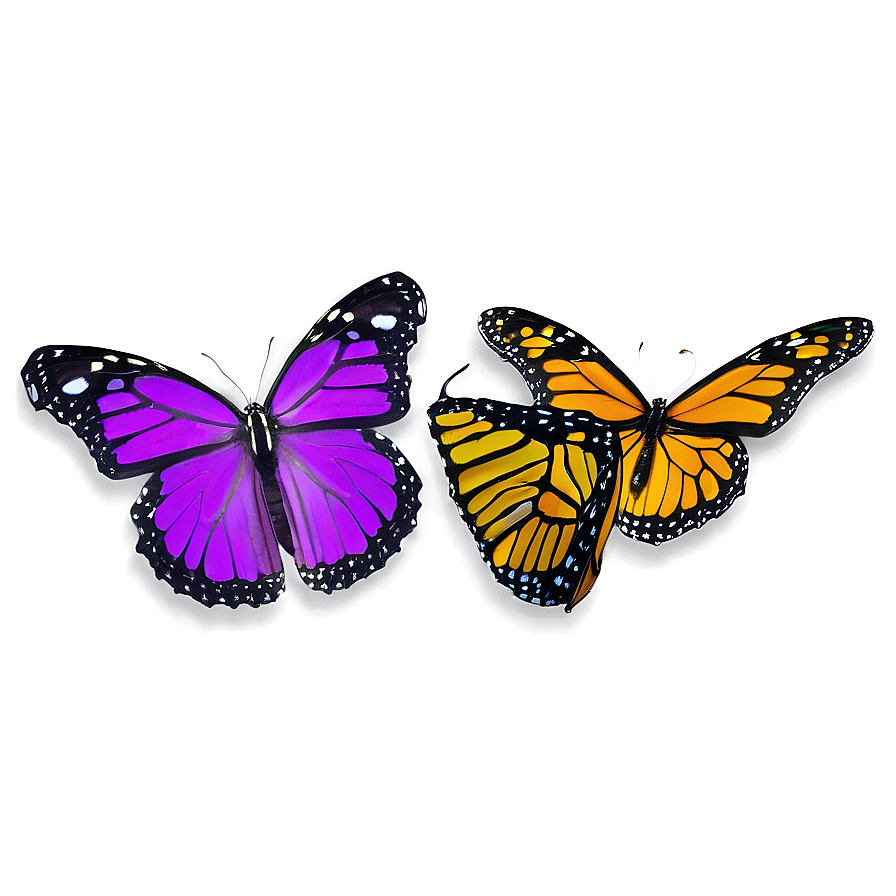 Violet Monarch Butterfly Png 74 PNG Image