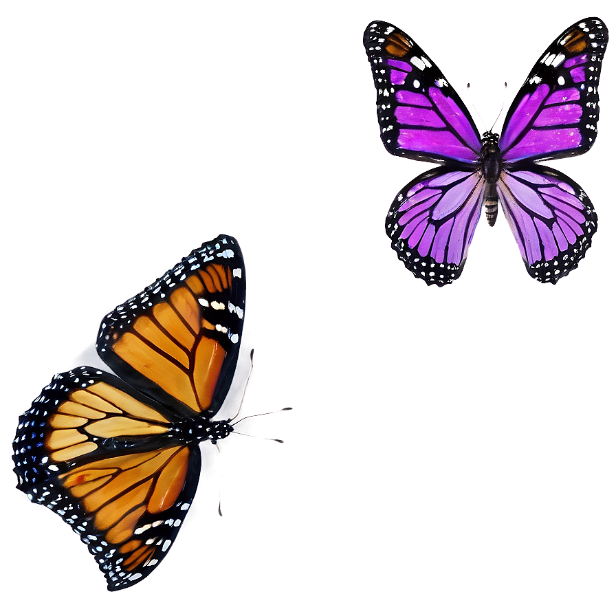 Violet Monarch Butterfly Png Pss PNG Image