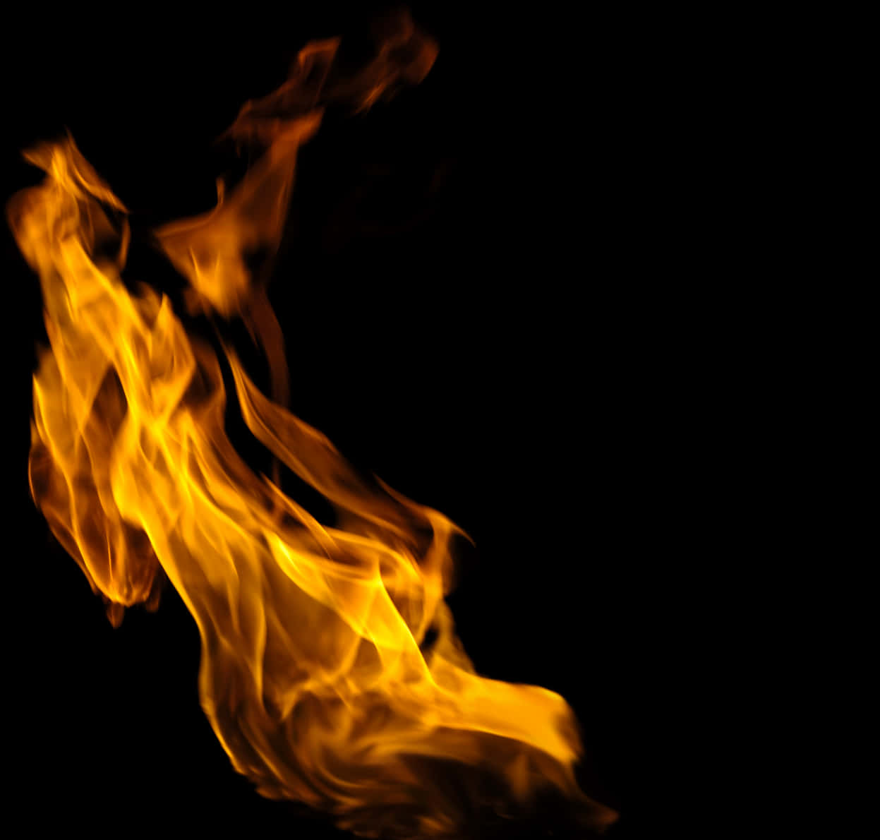 Vivid Orange Flameon Black PNG Image