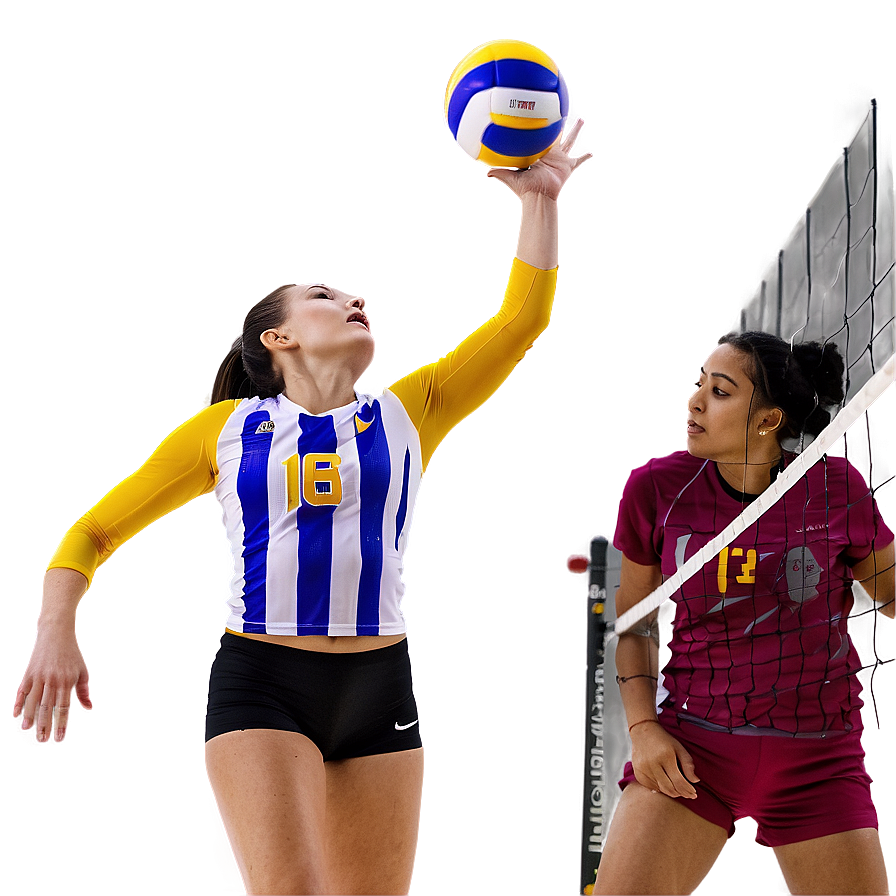 Volleyball Player In Action Png 16 PNG Image