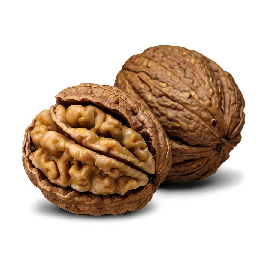 Walnut Closeup Png Dth PNG Image