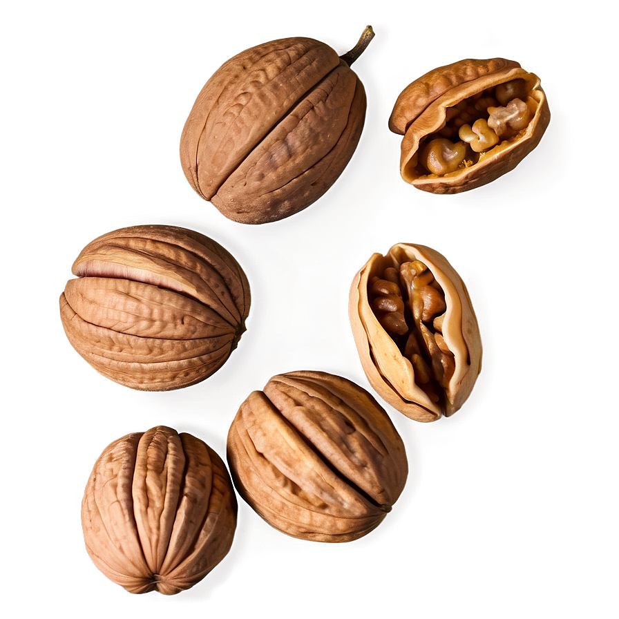 Walnut Harvest Png Vtg PNG Image