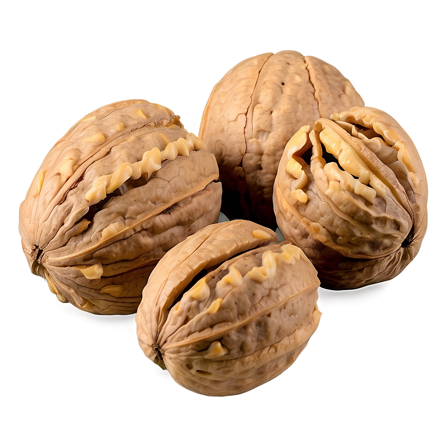 Walnut Kernel Png Gpm PNG Image