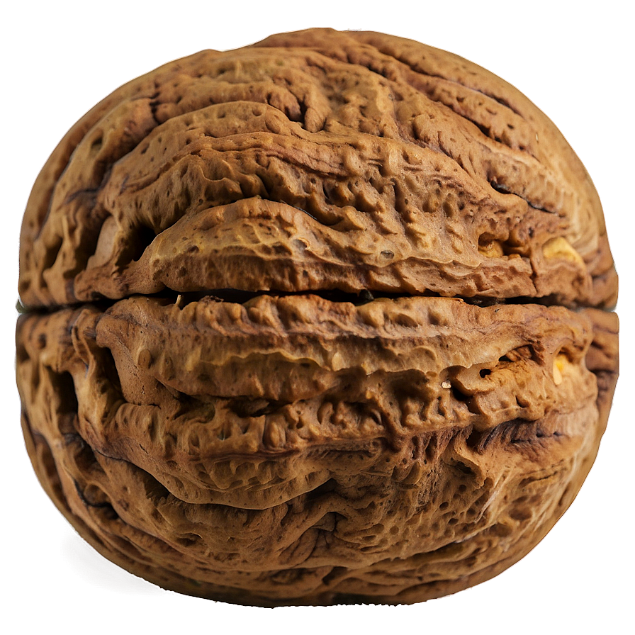 Walnut Png Din77 PNG Image