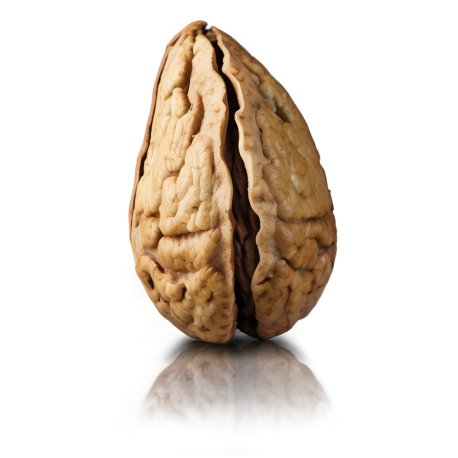 Walnut Png Flg PNG Image