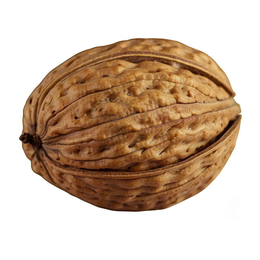 Walnut Png Nya85 PNG Image