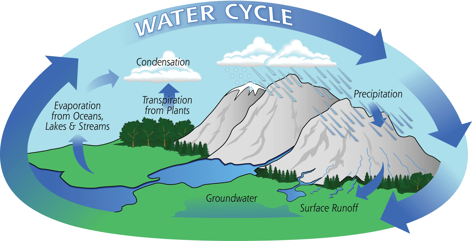 Water_ Cycle_ Illustration PNG Image