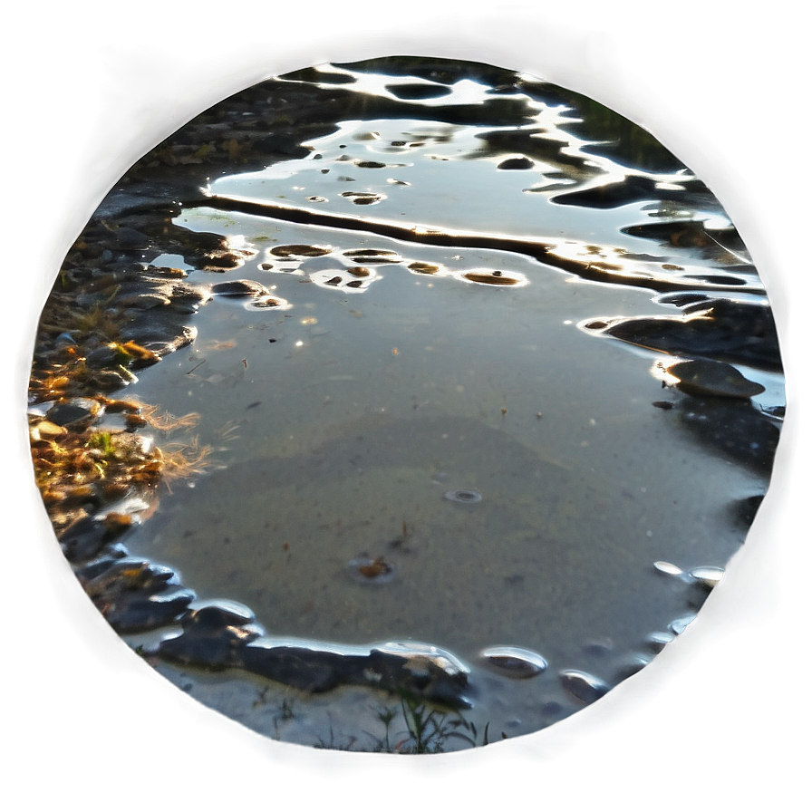 Water Puddle Reflection Png Iep78 PNG Image