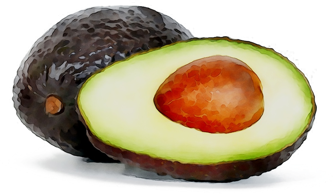 Watercolor Avocado Halfand Whole PNG Image