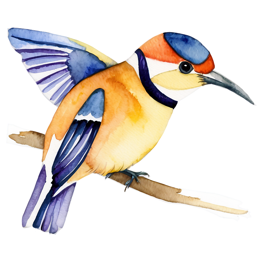 Watercolor Bird Illustration Png Mih47 PNG Image