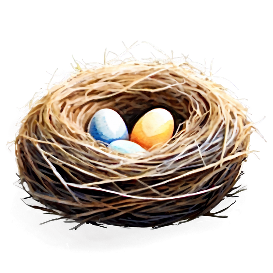 Watercolor Bird Nest Png Cmg PNG Image