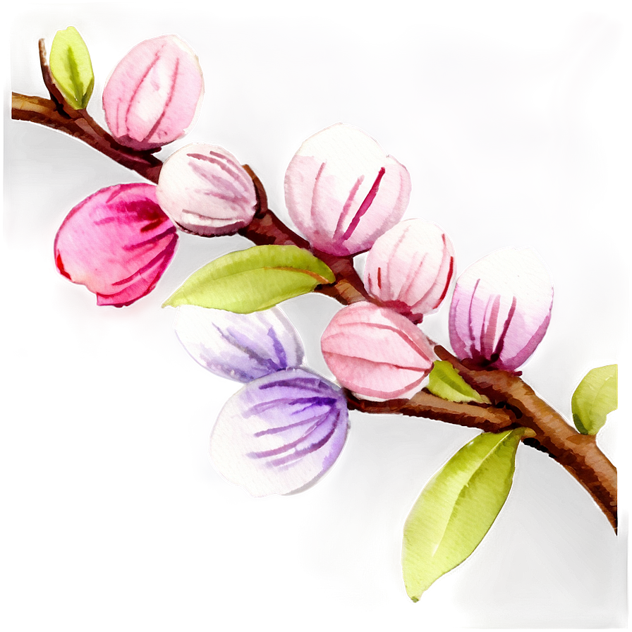 Watercolor Blossom Png 14 PNG Image