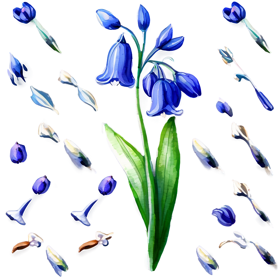 Watercolor Bluebell Flowers Png Xgx64 PNG Image