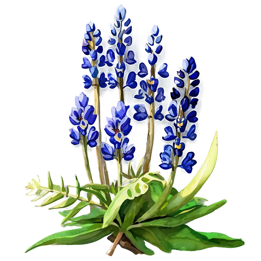 Watercolor Bluebonnet Field Png Ghk78 PNG Image