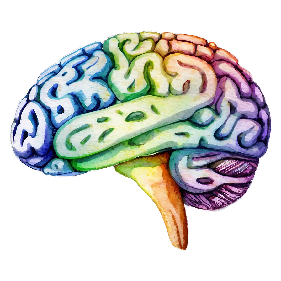 Watercolor Brain Art Png Gfr PNG Image