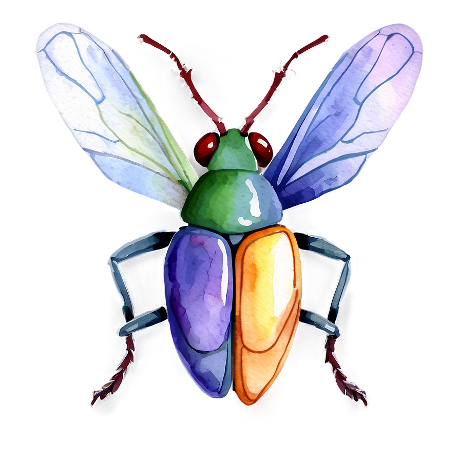 Watercolor Bug Png Sbm PNG Image