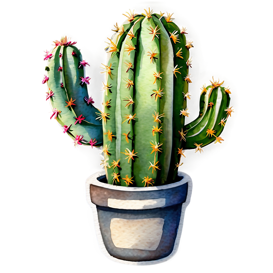 Watercolor Cactus Png Fdk2 PNG Image