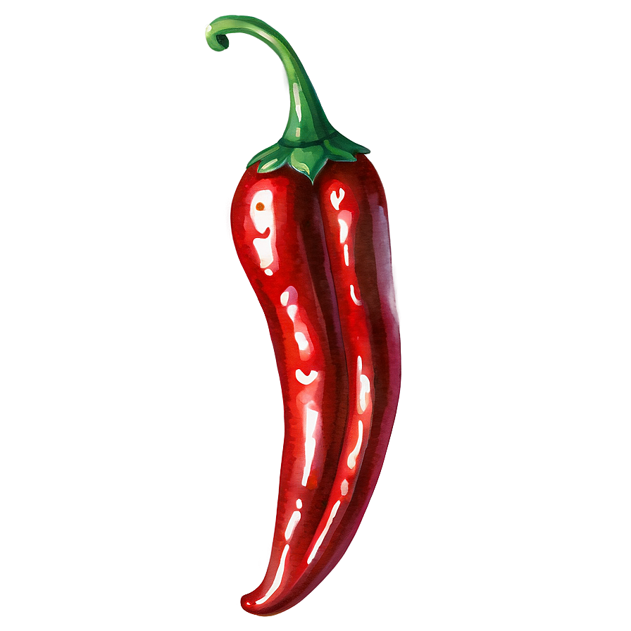 Watercolor Chili Pepper Png 64 PNG Image