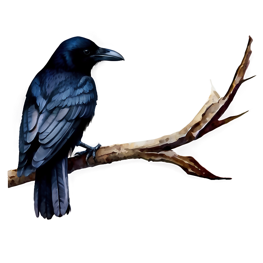 Watercolor Crow Png 24 PNG Image