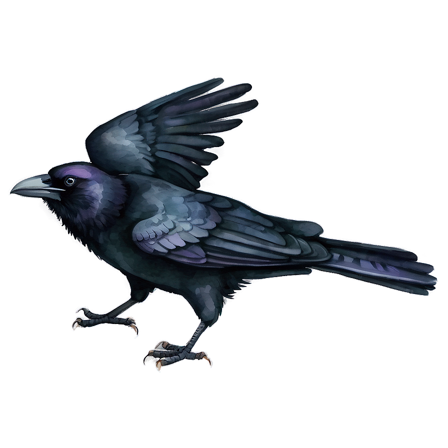 Watercolor Crow Png Wlm PNG Image