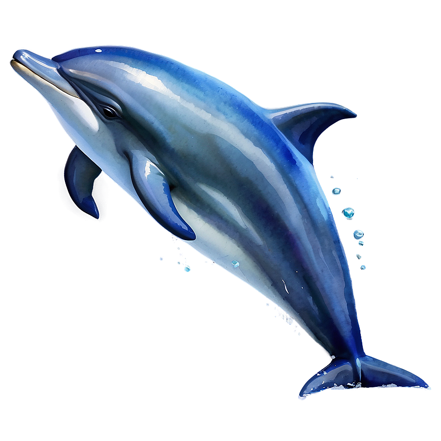 Watercolor Dolphin Png 77 PNG Image