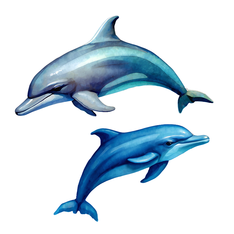 Watercolor Dolphin Png Ysd17 PNG Image