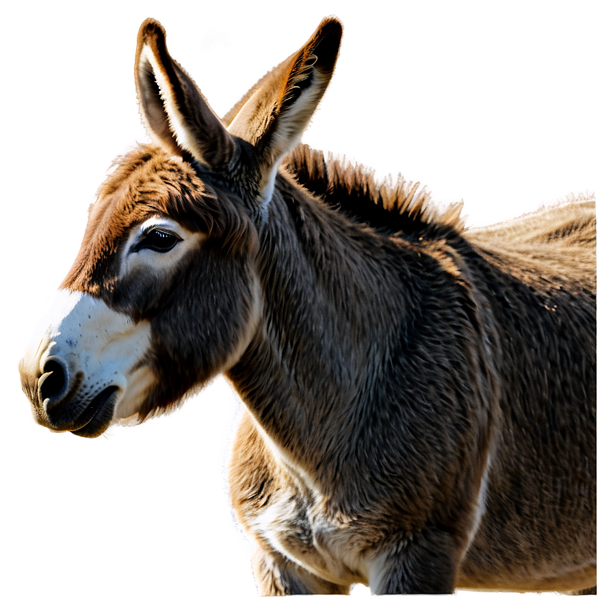 Watercolor Donkey Png Iii PNG Image