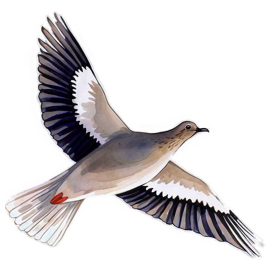 Watercolor Dove Png 63 PNG Image