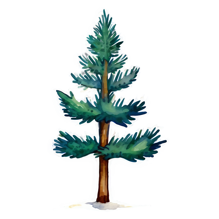 Watercolor Evergreen Tree Png Iwo37 PNG Image