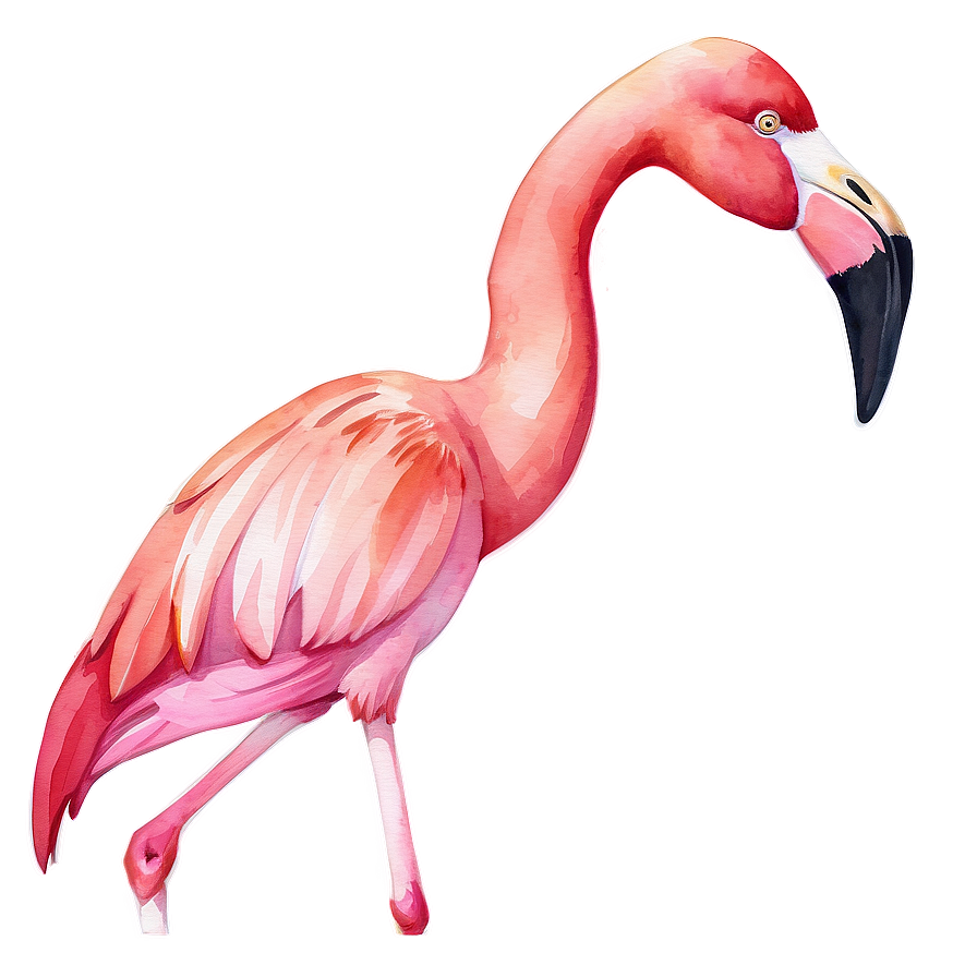 Watercolor Flamingo Artwork Png Jgh PNG Image