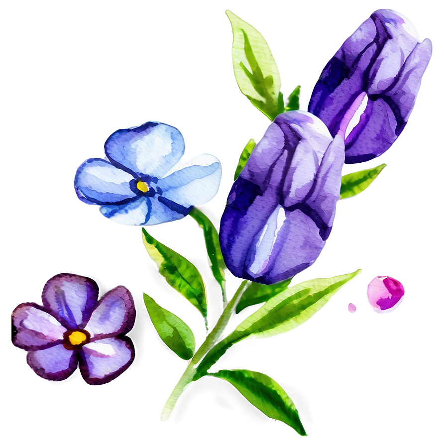 Watercolor Flower Essence Png Yuw57 PNG Image