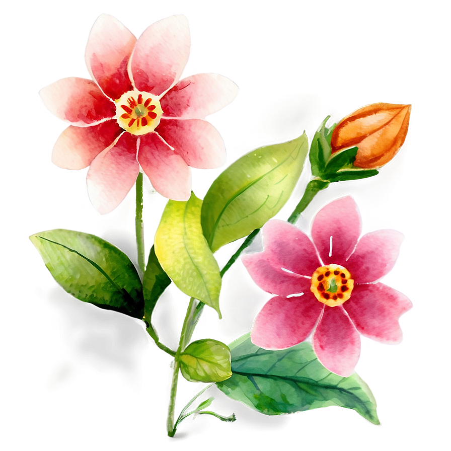 Watercolor Flower Painting Png Fmi PNG Image