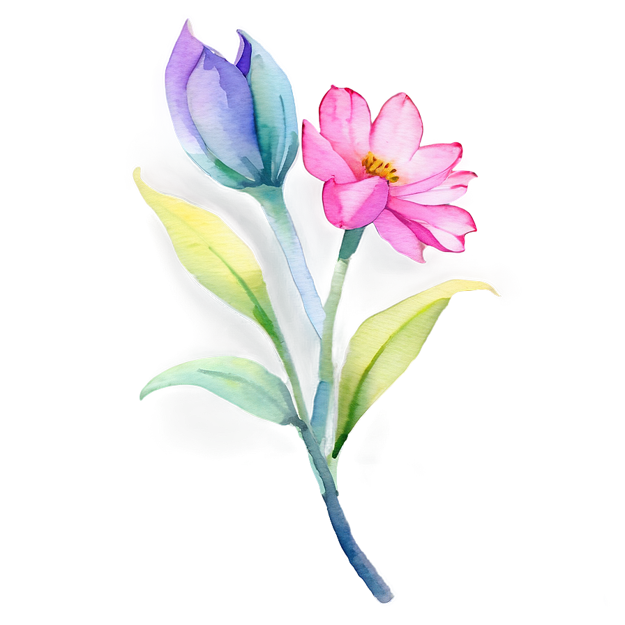 Watercolor Flower Transparent Png 05252024 PNG Image