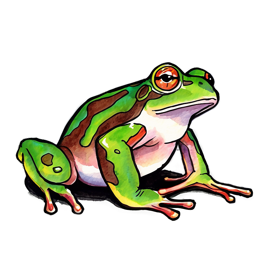 Watercolor Frog Painting Png 11 PNG Image