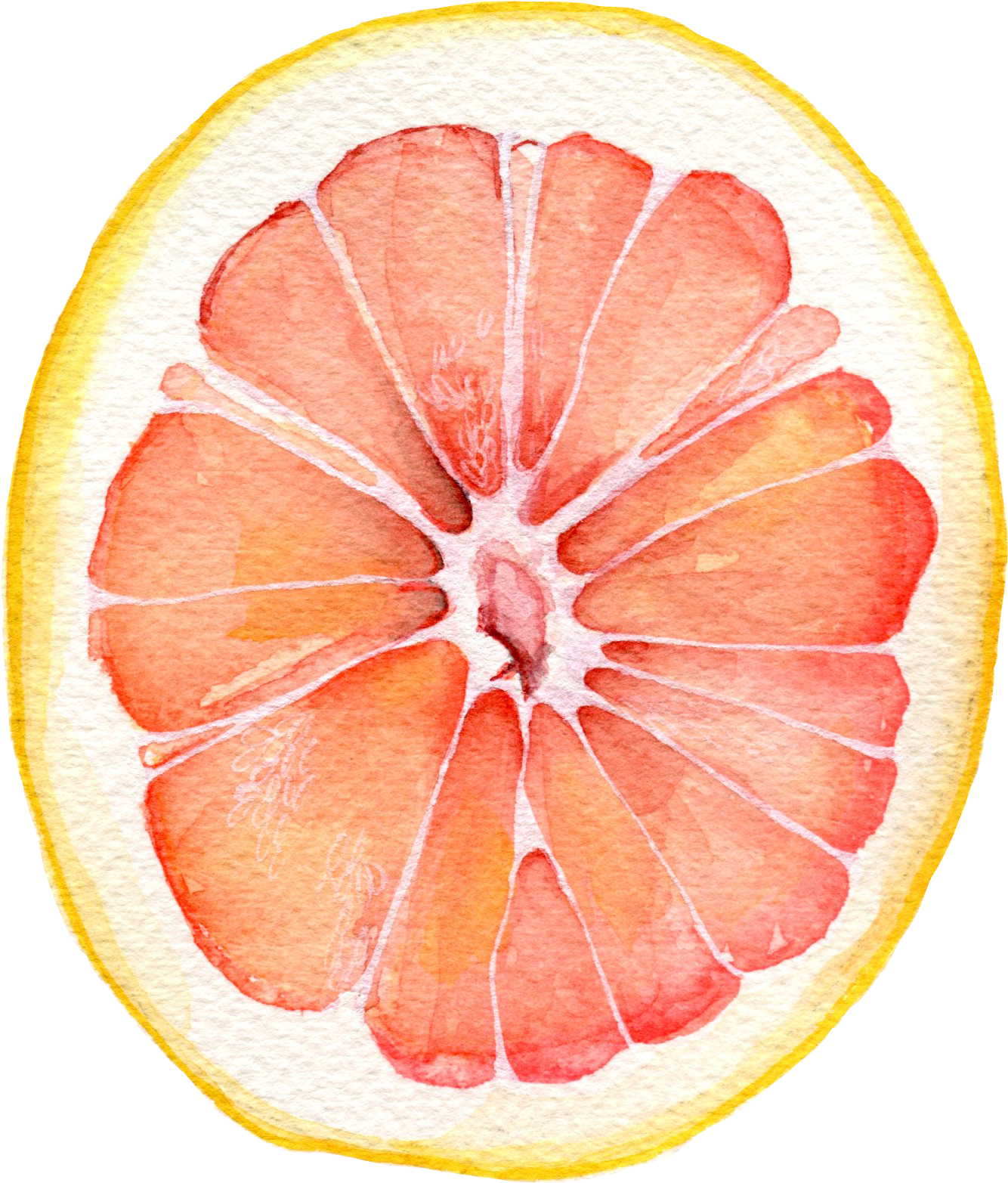 Watercolor Grapefruit Slice PNG Image