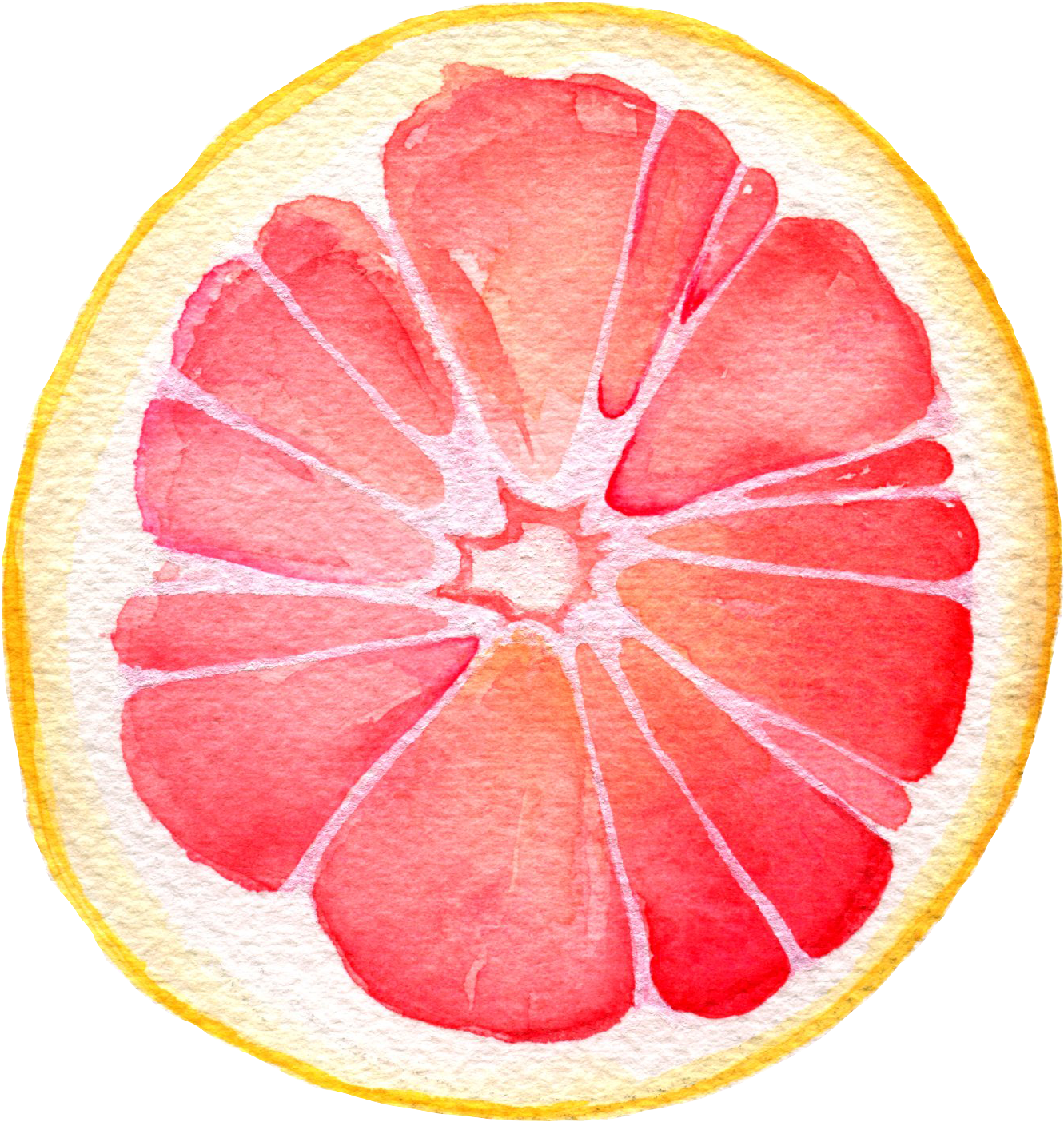 Watercolor Grapefruit Slice PNG Image