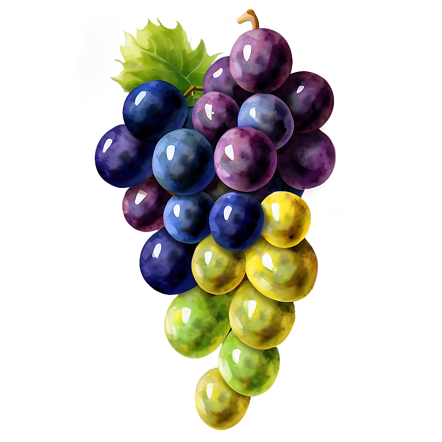 Watercolor Grapes Png Hyg63 PNG Image