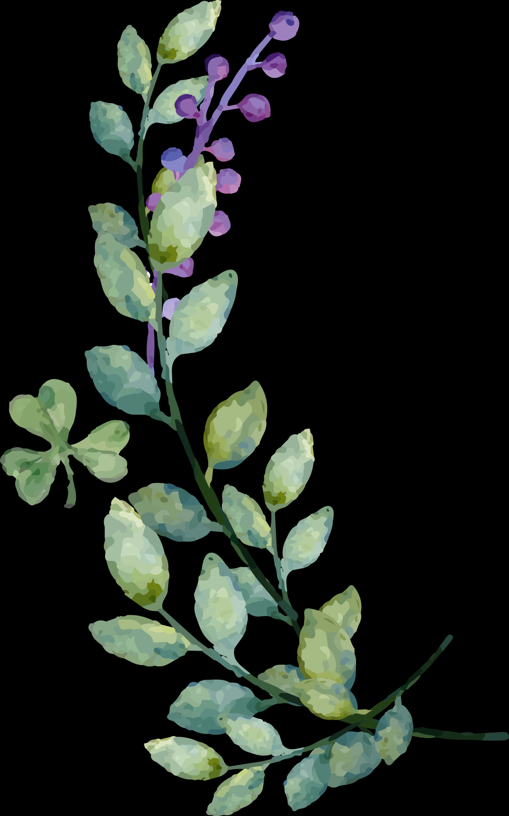 Watercolor Green Leavesand Berries PNG Image