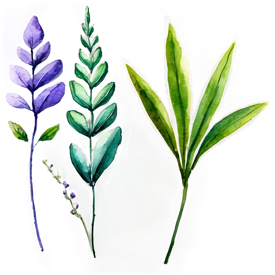 Watercolor Herbal Leaves Png Whx79 PNG Image