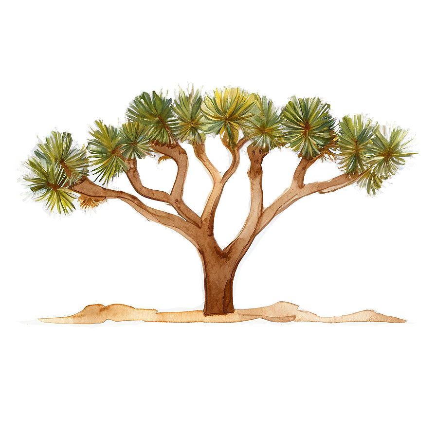 Watercolor Joshua Tree Scene Png Ofm59 PNG Image