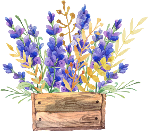 Watercolor Lavenderin Wooden Box PNG Image