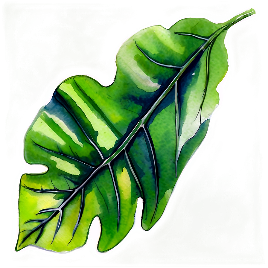 Watercolor Leaf Png 05032024 PNG Image