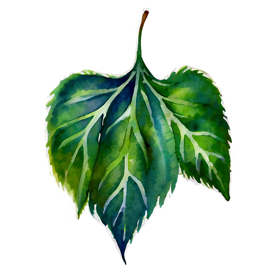 Watercolor Leaf Png Lpi PNG Image