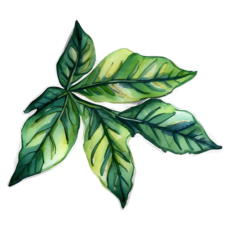 Watercolor Leaf Png Xdb48 PNG Image