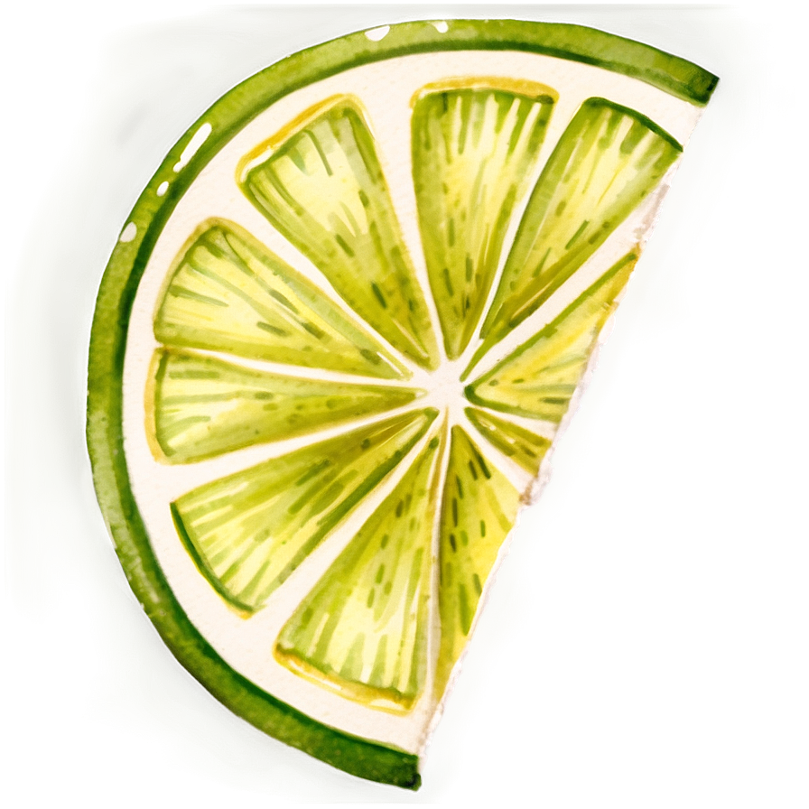 Watercolor Lime Slice Png Iye73 PNG Image