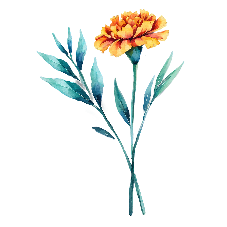 Watercolor Marigold Flowers Png 55 PNG Image